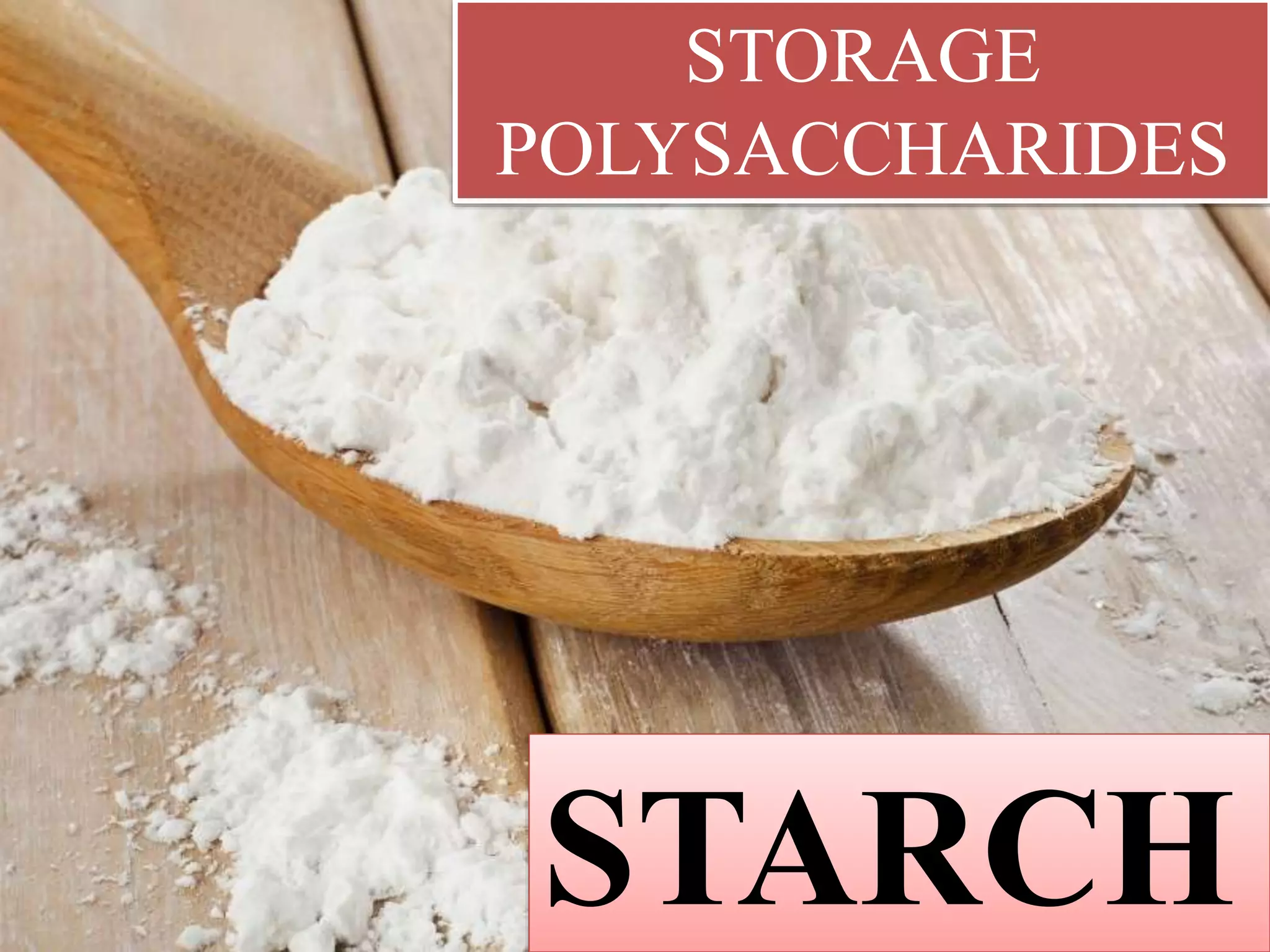 STARCH
STORAGE
POLYSACCHARIDES
 