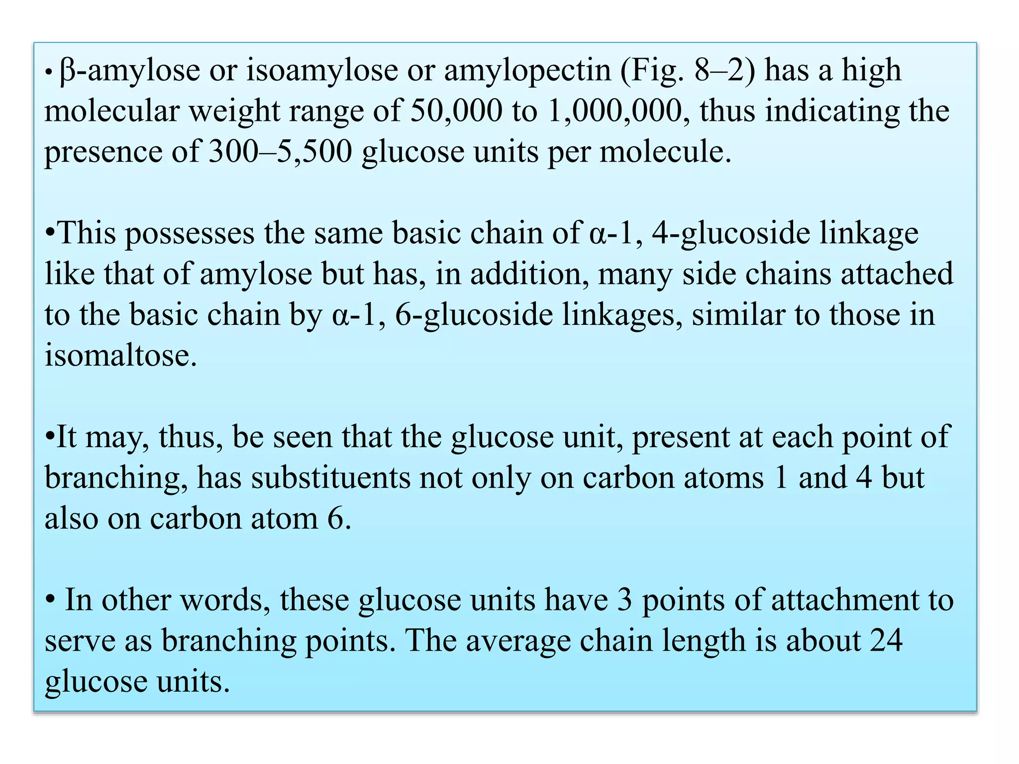 • β-amylose or isoamylose or amylopectin (Fig. 8–2) has a high
molecular weight range of 50,000 to 1,000,000, thus indicating the
presence of 300–5,500 glucose units per molecule.
•This possesses the same basic chain of α-1, 4-glucoside linkage
like that of amylose but has, in addition, many side chains attached
to the basic chain by α-1, 6-glucoside linkages, similar to those in
isomaltose.
•It may, thus, be seen that the glucose unit, present at each point of
branching, has substituents not only on carbon atoms 1 and 4 but
also on carbon atom 6.
• In other words, these glucose units have 3 points of attachment to
serve as branching points. The average chain length is about 24
glucose units.
 
