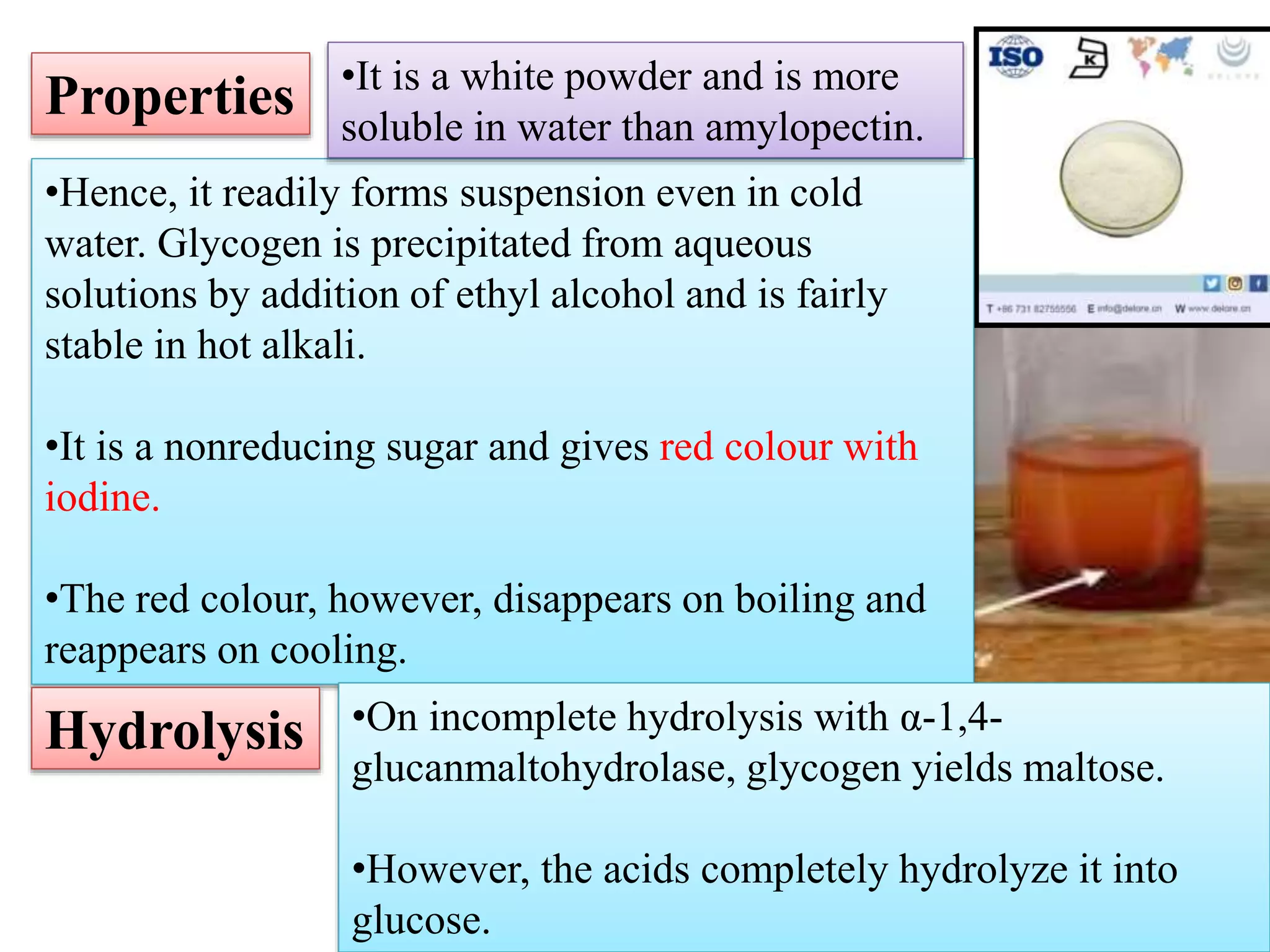 •Hence, it readily forms suspension even in cold
water. Glycogen is precipitated from aqueous
solutions by addition of ethyl alcohol and is fairly
stable in hot alkali.
•It is a nonreducing sugar and gives red colour with
iodine.
•The red colour, however, disappears on boiling and
reappears on cooling.
•It is a white powder and is more
soluble in water than amylopectin.
Properties
Hydrolysis •On incomplete hydrolysis with α-1,4-
glucanmaltohydrolase, glycogen yields maltose.
•However, the acids completely hydrolyze it into
glucose.
 