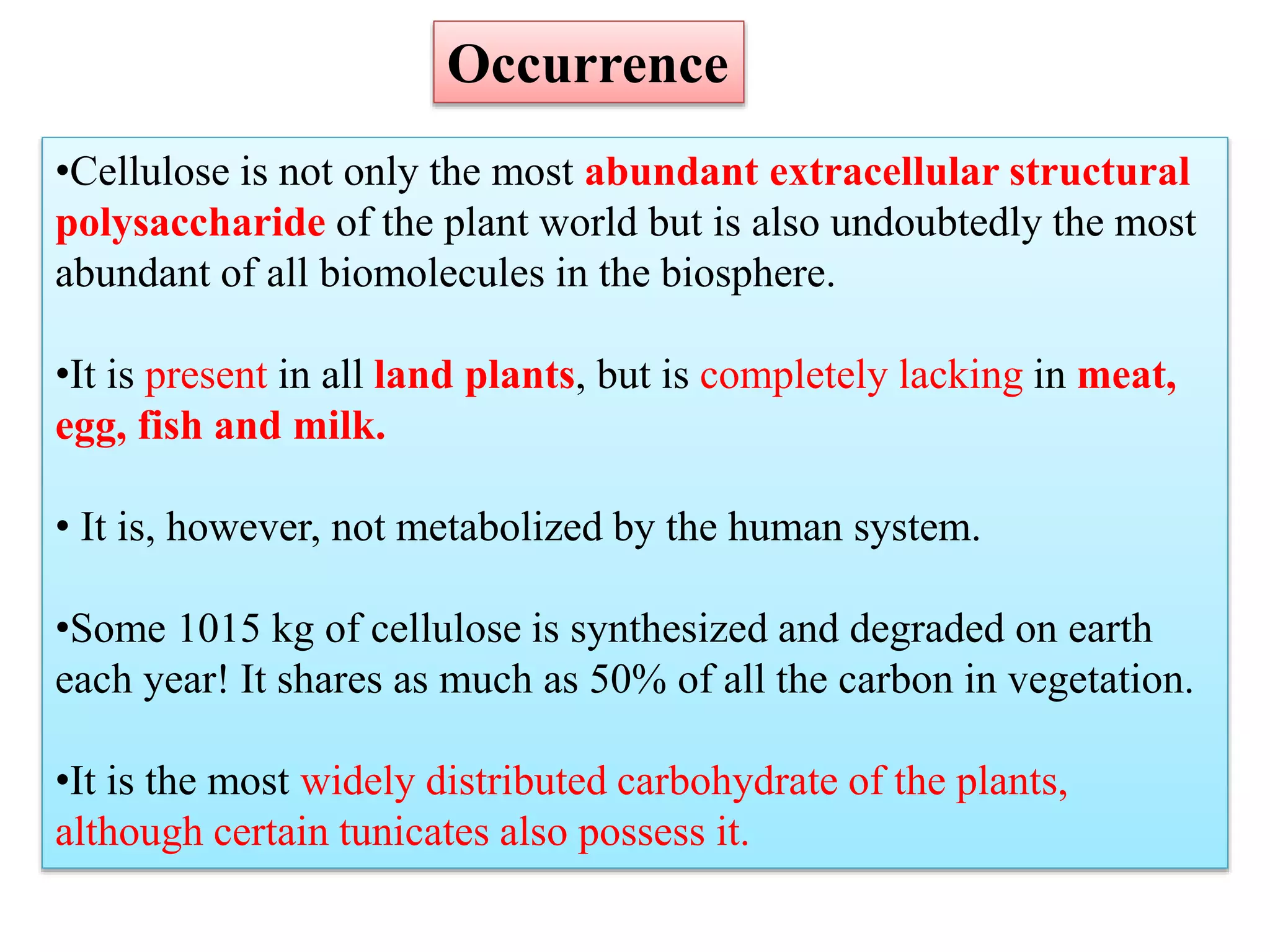 •Cellulose is not only the most abundant extracellular structural
polysaccharide of the plant world but is also undoubtedly the most
abundant of all biomolecules in the biosphere.
•It is present in all land plants, but is completely lacking in meat,
egg, fish and milk.
• It is, however, not metabolized by the human system.
•Some 1015 kg of cellulose is synthesized and degraded on earth
each year! It shares as much as 50% of all the carbon in vegetation.
•It is the most widely distributed carbohydrate of the plants,
although certain tunicates also possess it.
Occurrence
 