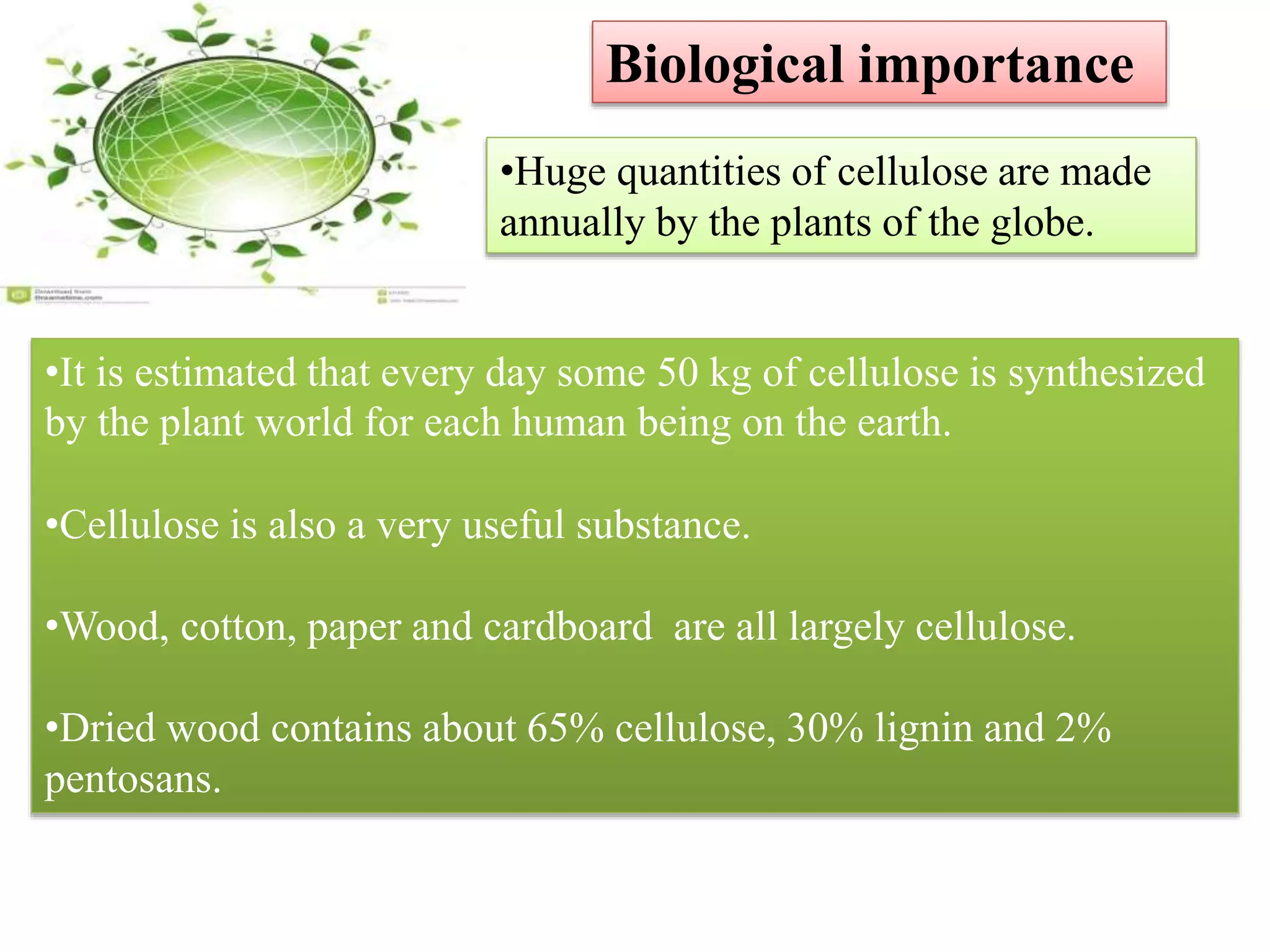 •Huge quantities of cellulose are made
annually by the plants of the globe.
•It is estimated that every day some 50 kg of cellulose is synthesized
by the plant world for each human being on the earth.
•Cellulose is also a very useful substance.
•Wood, cotton, paper and cardboard are all largely cellulose.
•Dried wood contains about 65% cellulose, 30% lignin and 2%
pentosans.
Biological importance
 