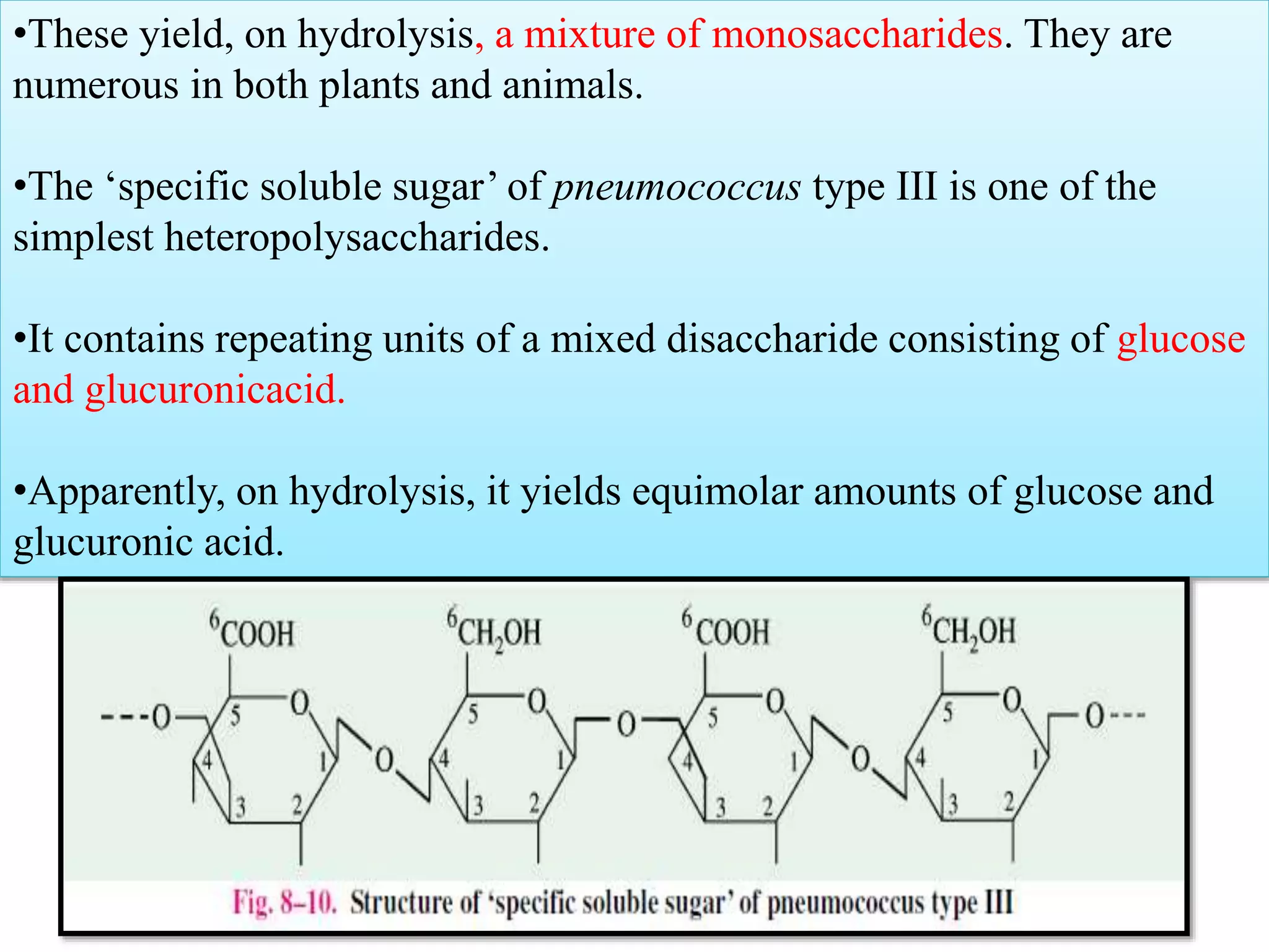 •These yield, on hydrolysis, a mixture of monosaccharides. They are
numerous in both plants and animals.
•The ‘specific soluble sugar’ of pneumococcus type III is one of the
simplest heteropolysaccharides.
•It contains repeating units of a mixed disaccharide consisting of glucose
and glucuronicacid.
•Apparently, on hydrolysis, it yields equimolar amounts of glucose and
glucuronic acid.
 