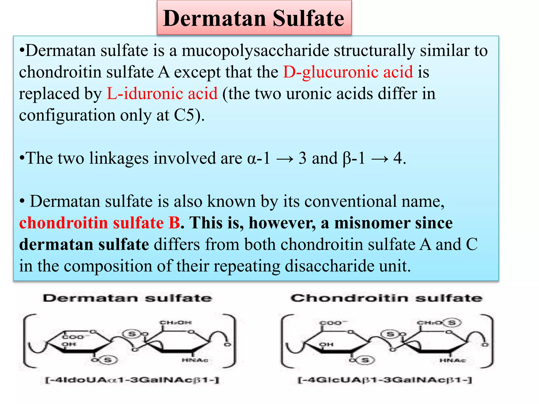 •Dermatan sulfate is a mucopolysaccharide structurally similar to
chondroitin sulfate A except that the D-glucuronic acid is
replaced by L-iduronic acid (the two uronic acids differ in
configuration only at C5).
•The two linkages involved are α-1 → 3 and β-1 → 4.
• Dermatan sulfate is also known by its conventional name,
chondroitin sulfate B. This is, however, a misnomer since
dermatan sulfate differs from both chondroitin sulfate A and C
in the composition of their repeating disaccharide unit.
Dermatan Sulfate
 