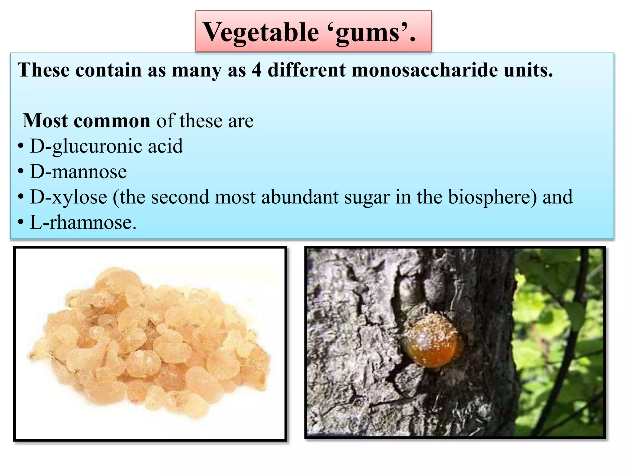 These contain as many as 4 different monosaccharide units.
Most common of these are
• D-glucuronic acid
• D-mannose
• D-xylose (the second most abundant sugar in the biosphere) and
• L-rhamnose.
Vegetable ‘gums’.
 