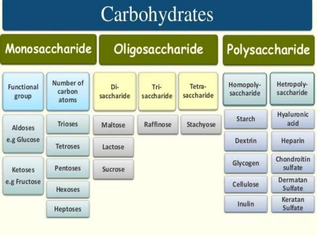 Oligo and polysaccharides | PPT