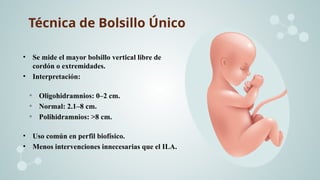 Ila Normal Fisiología y estados patológicos del líquido amniótico | PPTX