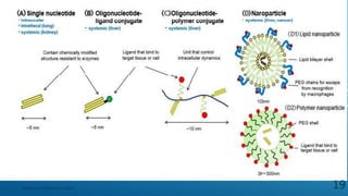 Department of Pharmacy, ADTU 19
 