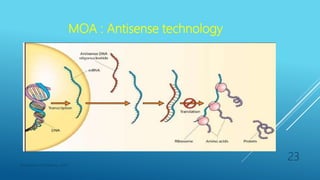 MOA : Antisense technology
Department of Pharmacy, ADTU
23
 
