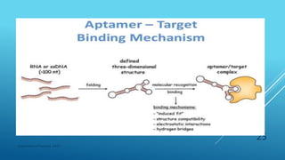 Department of Pharmacy, ADTU
25
 