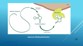 Department of Pharmacy, ADTU
26
Aptamers Binding Mechanism
 