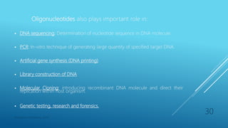 Oligonucleotides also plays important role in:
 DNA sequencing: Determination of nucleotide sequence in DNA molecule.
 PCR: In-vitro technique of generating large quantity of specified target DNA.
 Artificial gene synthesis (DNA printing)
 Library construction of DNA
 Molecular Cloning: introducing recombinant DNA molecule and direct their
replication within host organism.
 Genetic testing, research and forensics.
Department of Pharmacy, ADTU
30
 