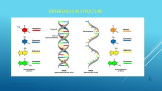 DIFFERENCES IN STRUCTURE
Department of Pharmacy, ADTU
6
 