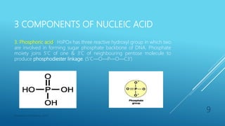3 COMPONENTS OF NUCLEIC ACID
3. Phosphoric acid: H3PO4 has three reactive hydroxyl group in which two
are involved in forming sugar phosphate backbone of DNA. Phosphate
moiety joins 5’C of one & 3’C of neighbouring pentose molecule to
produce phosphodiester linkage. (5’C—O—P—O—C3’)
Department of Pharmacy, ADTU
9
 