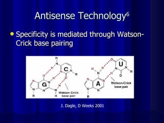Antisense Technology 6 Specificity is mediated through Watson-Crick base pairing J. Dagle, D Weeks 2001 