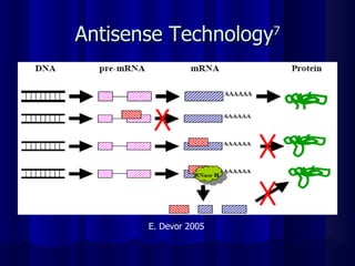 Antisense Technology 7 E. Devor 2005 