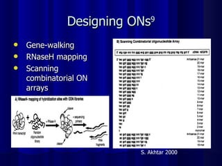 Designing ONs 9 Gene-walking RNaseH mapping Scanning combinatorial ON arrays S. Akhtar 2000 