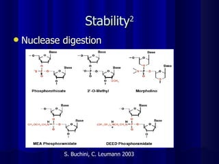 Stability 2 Nuclease digestion S. Buchini, C. Leumann 2003 