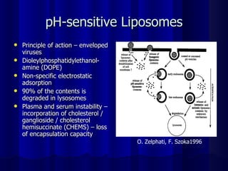 pH-sensitive Liposomes Principle of action – enveloped viruses Dioleylphosphatidylethanol-amine (DOPE) Non-specific electrostatic adsorption 90% of the contents is degraded in lysosomes Plasma and serum instability – incorporation of cholesterol / ganglioside / cholesterol hemisuccinate (CHEMS) – loss of encapsulation capacity O. Zelphati, F. Szoka1996 