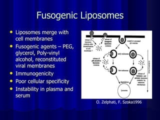 Fusogenic Liposomes Liposomes merge with cell membranes Fusogenic agents – PEG, glycerol, Poly-vinyl alcohol, reconstituted viral membranes Immunogenicity Poor cellular specificity Instability in plasma and serum O. Zelphati, F. Szoka1996 