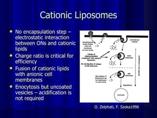 Cationic Liposomes No encapsulation step – electrostatic interaction between ONs and cationic lipids Charge ratio is critical for efficiency Fusion of cationic lipids with anionic cell membranes Enocytosis but uncoated vesicles – acidification is not required O. Zelphati, F. Szoka1996 