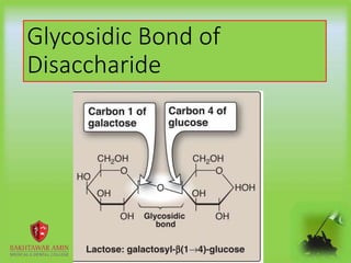 Glycosidic Bond of
Disaccharide
 