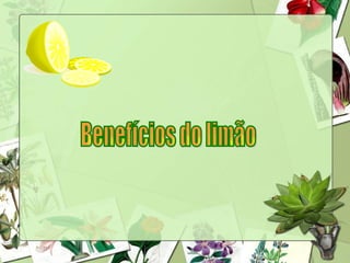 Benefícios do limão 