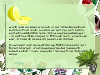 A fonte desta informação: provém de um dos maiores fabricantes de medicamentos do mundo, que afirma que após mais de 20 ensaios efectuados em laboratório desde 1970, os relatórios  revelaram que : -  Ele destrói as células malignas em 12 tipos de cancro, incluindo o do cólon, da mama, da próstata, dos pulmões e do pâncreas…  Os compostos deste fruto mostraram agir 10.000 vezes melhor que o fármaco Adriamycin, uma droga quimioterapeutica normalmente utilizada em todo o mundo, ao retardar o crescimento das células do cancro.   