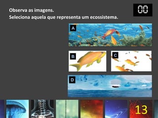 Observa as imagens.
Seleciona aquela que representa um ecossistema.




                                                  13
 