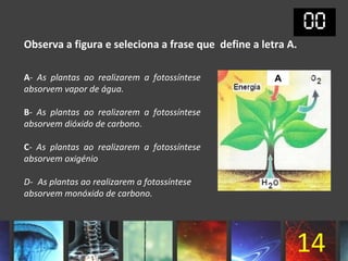 Observa a figura e seleciona a frase que define a letra A.

A- As plantas ao realizarem a fotossíntese           A
absorvem vapor de água.

B- As plantas ao realizarem a fotossíntese
absorvem dióxido de carbono.

C- As plantas ao realizarem a fotossíntese
absorvem oxigénio

D- As plantas ao realizarem a fotossíntese
absorvem monóxido de carbono.




                                                         14
 