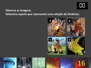 Observa as imagens.
Seleciona aquela que representa uma relação de Simbiose.




                                                      16
 