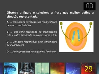 Observa a figura e seleciona a frase que melhor define a
situação representada.
A- … Dois genes envolvidos na manifestação
de uma característica.

B- … Um gene localizado no cromossoma
n.º1 e outro localizado no cromossoma n.º 2.

C- … Um gene responsável pela transmissão
de 2 caracteres.

D- …Genes presentes num gâmeta feminino.




                                                 29
 