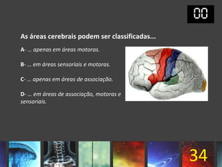 As áreas cerebrais podem ser classificadas...
A- … apenas em áreas motoras.

B- … em áreas sensoriais e motoras.

C- … apenas em áreas de associação.

D- … em áreas de associação, motoras e
sensoriais.




                                                34
 