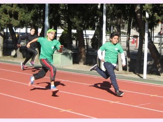 Olimpiadas el olivo 2016