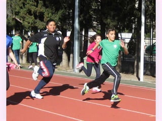 Olimpiadas el olivo 2016