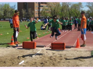 Olimpiadas el olivo 2016