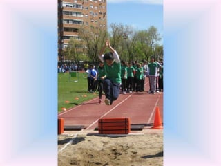 Olimpiadas el olivo 2016