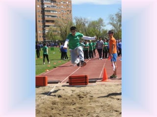 Olimpiadas el olivo 2016