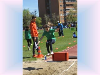 Olimpiadas el olivo 2016