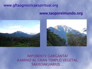 www.gftaognosticaespiritual.orgwww.taoporelmundo.orgIMPONENTE GARGANTA! KAMINO AL GRAN TEMPLO VEGETAL SAKROAKUARIUS…