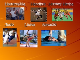 Halterofília   Handbol Hockey Herba




Judo       Lluita   Natació
 