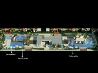 Piscina adulto
Piscina adulto
Piscina adulto
 