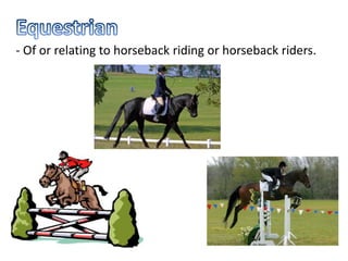 - Of or relating to horseback riding or horseback riders.
 
