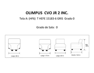 OLIMPUS CVO JR 2 INC.
Tela A: (HF6) T HEFE 15183-6 GRIS Grado 0
Grado de Sala: 0
Largo .63 mLargo .84 m Largo 1.73 m Ancho 1.02 m
Alto
.97m
 