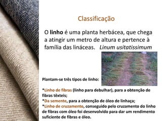 Classificação
 O linho é uma planta herbácea, que chega
 a atingir um metro de altura e pertence à
 família das lináceas. Linum usitatissimum




Plantam-se três tipos de linho:

*Linho de fibras (linho para debulhar), para a obtenção de
fibras têxteis;
*Da semente, para a obtenção de óleo de linhaça;
*Linho de cruzamento, conseguido pelo cruzamento do linho
de fibras com óleo foi desenvolvido para dar um rendimento
suficiente de fibras e óleo.
 