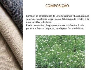 COMPOSIÇÃO

Compõe-se basicamente de uma substância fibrosa, da qual
se extraem as fibras longas para a fabricação de tecidos e de
uma substância lenhosa.
Produz sementes oleaginosas e a sua farinha é utilizada
para cataplasmas de papas, usada para fins medicinais.
 