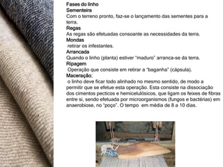 Fases do linho
Sementeira
Com o terreno pronto, faz-se o lançamento das sementes para a
terra.
Regas
As regas são efetuadas consoante as necessidades da terra.
Mondas
 retirar os infestantes.
Arrancada
Quando o linho (planta) estiver “maduro” arranca-se da terra.
Ripagem
 Operação que consiste em retirar a “baganha” (cápsula).
Maceração;
 o linho deve ficar todo alinhado no mesmo sentido, de modo a
permitir que se efetue esta operação. Esta consiste na dissociação
dos cimentos pecticos e hemicelulósicos, que ligam os feixes de fibras
entre si, sendo efetuada por microorganismos (fungos e bactérias) em
anaerobiose, no “poço”. O tempo em média de 8 a 10 dias.
 