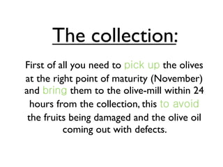 The collection:
First of all you need to           the olives
at the right point of maturity (November)
and          them to the olive-mill within 24
  hours from the collection, this
 the fruits being damaged and the olive oil
          coming out with defects.
 
