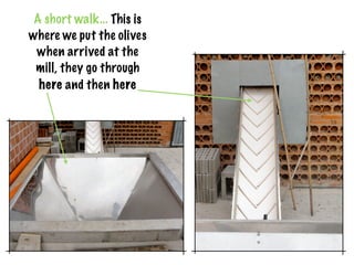 A short walk... This is
where we put the olives
 when arrived at the
 mill, they go through
  here and then here
 