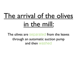 The arrival of the olives
      in the mill:
 The olives are          from the leaves
   through an automatic suction pump
             and then
 