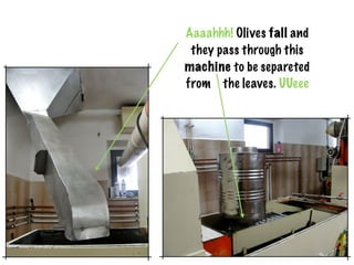 Aaaahhh! Olives fall and
 they pass through this
machine to be separeted
from the leaves. UUeee
 